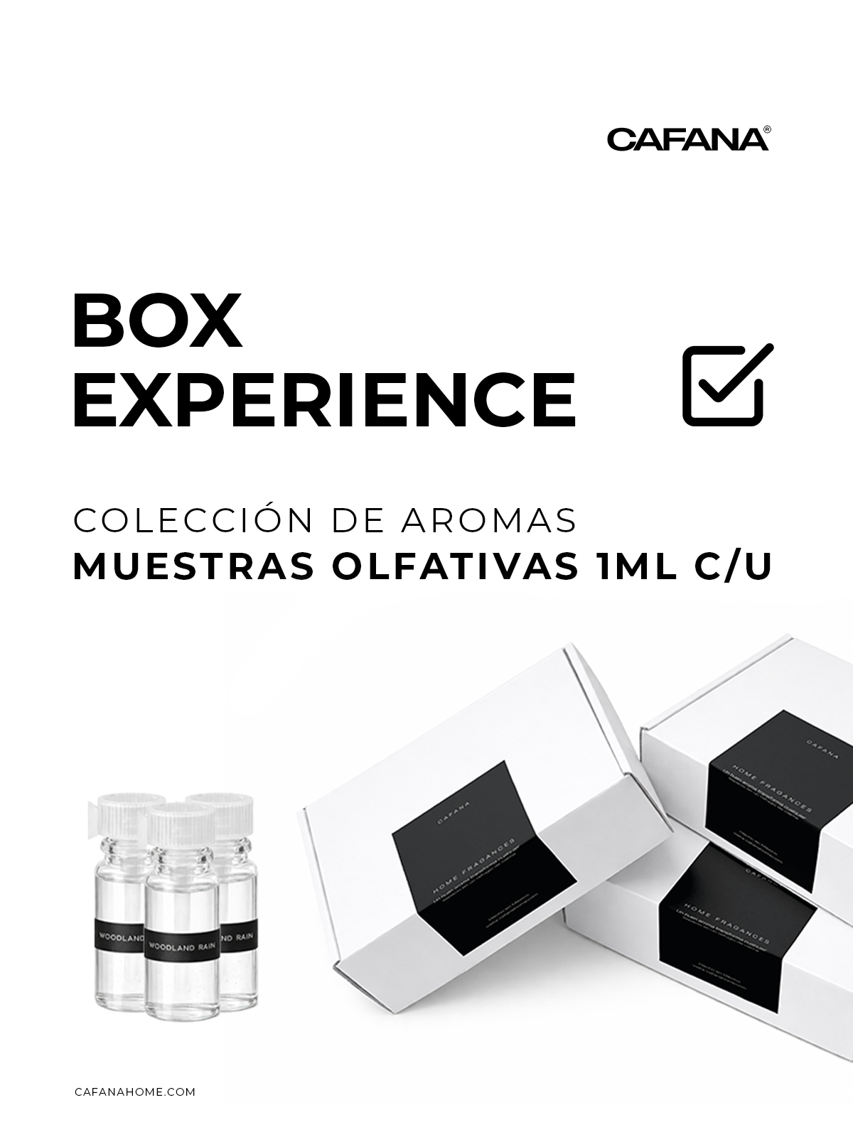 Box Experience