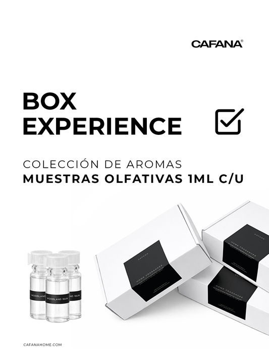 Box Experience